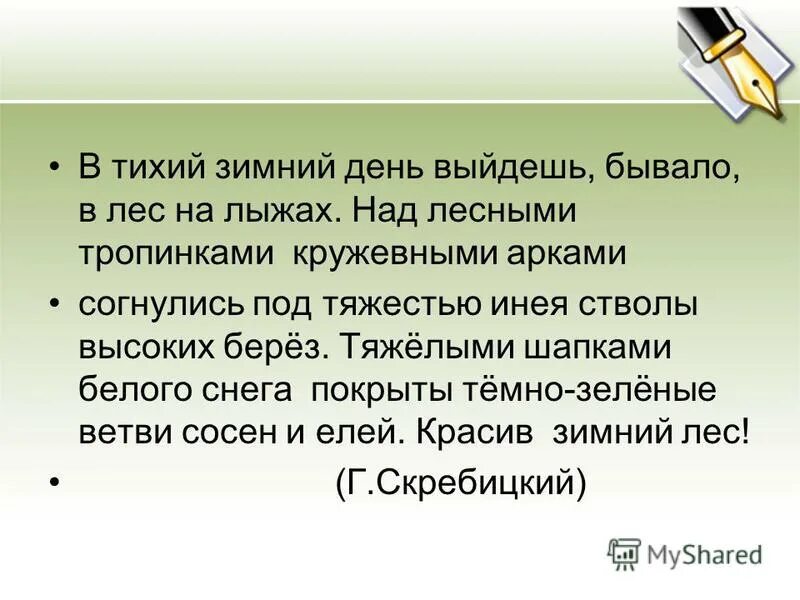 Загадки на тему леса. Знак не шуми в лесу. Загадки на тему лес. Экологический знак не шуметь в лесу. Стихотворение о красоте леса.