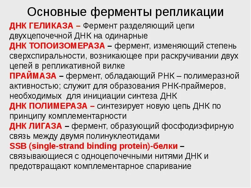 Ферменты необходимы для синтеза. Ферменты репликации молекулы ДНК таблица. Перечислите ферменты, участвующие в репликации и их функции.. Ферментативные системы репликации ДНК. Основной фермент репликации ДНК.