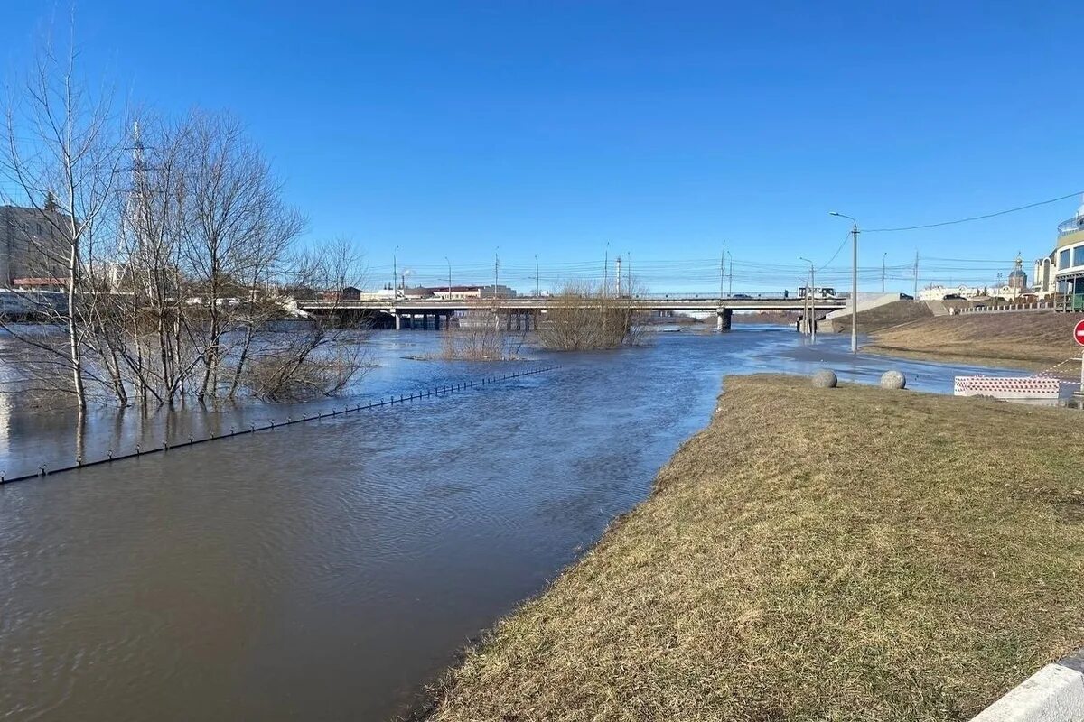 Уровень воды в упе тула сегодня. Тула река УПА. Тула мост на реке УПА. Разлив Упы в Туле март 2023. Река УПА В Тульской области.