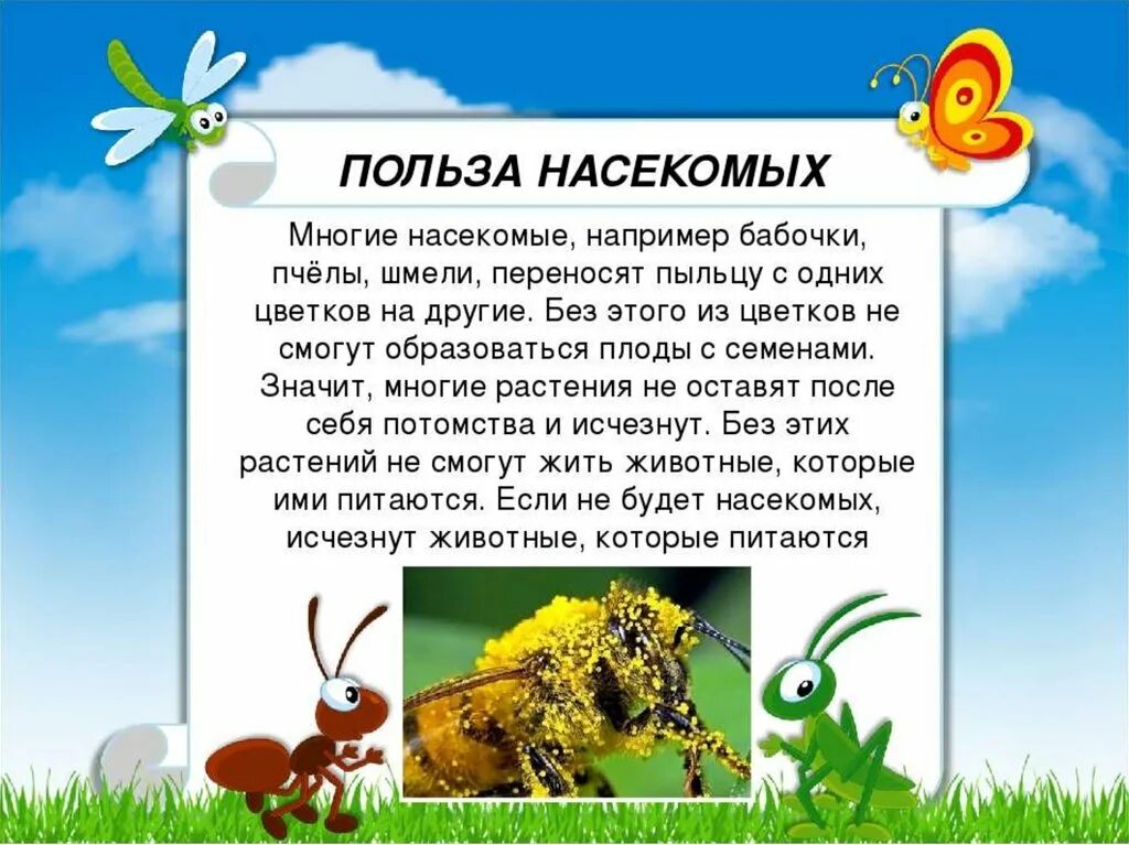 Рассказы на тему мир