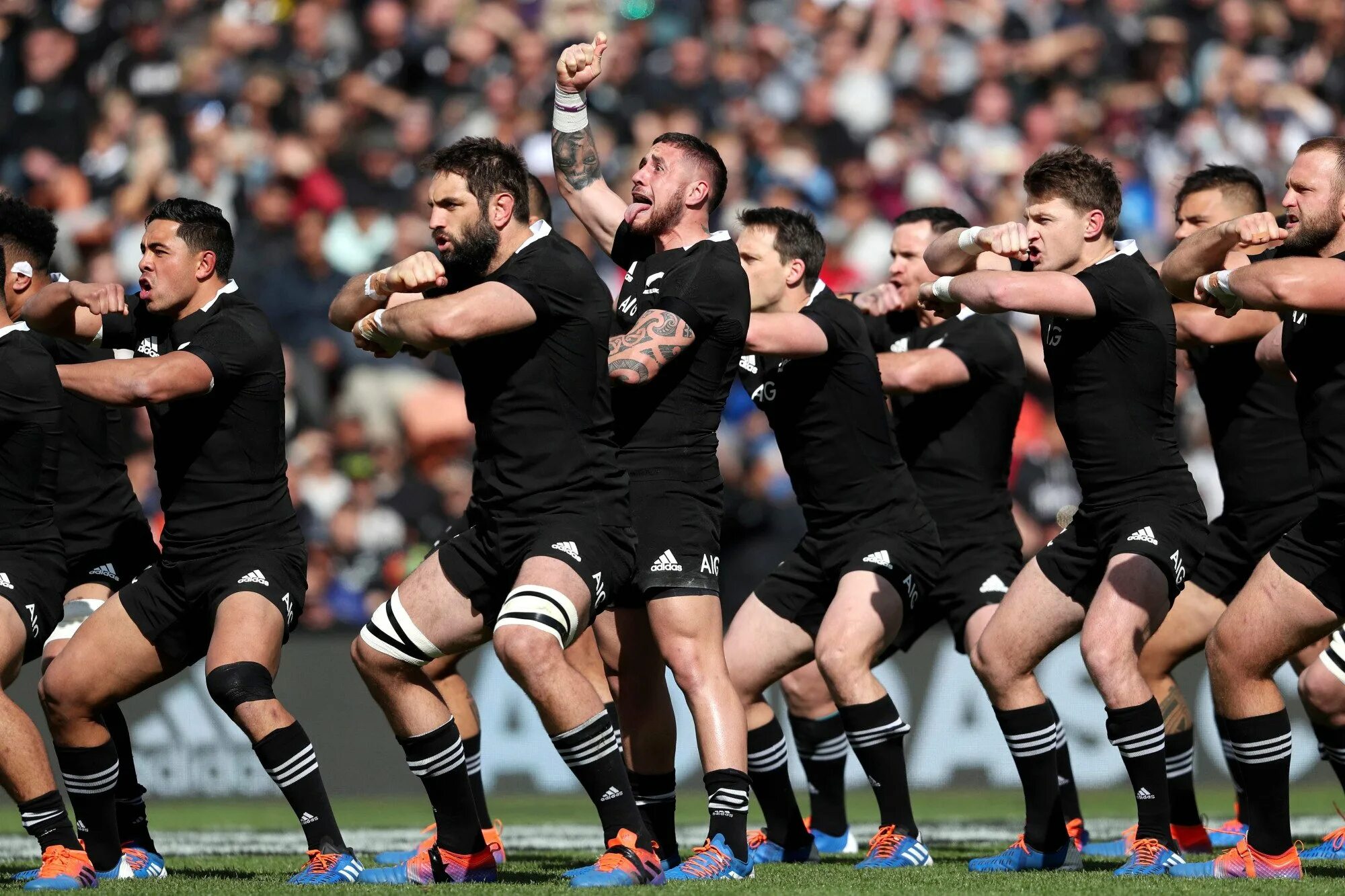 Про хака. Хака all Blacks. Хака Маори регби. Black Haka New Zealand Rugby. Танец хака регби.