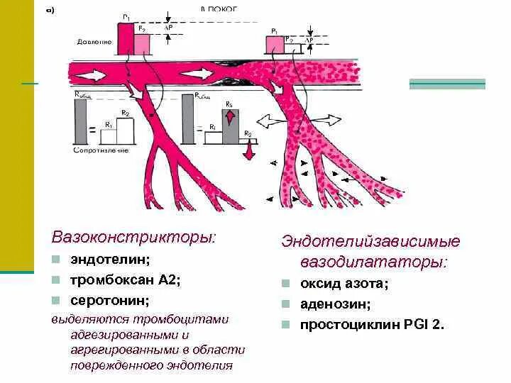 Состав обезболивающего. Концентрация вазоконстриктора в местном анестетике. Местные анестетики таблица. Местное и резорбтивное действие местных анестетиков. Мепивакаин 3%.