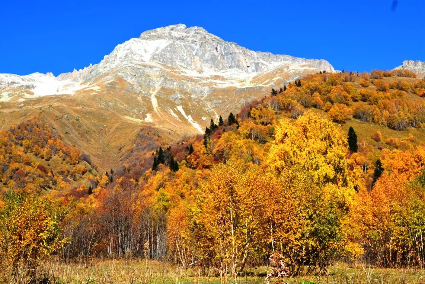 Ущелье реки аманауз. Карачаево черкесия гоначхир. Ущелье домбай-ульген. Чучхурские водопады домбай. Аламединское ущелье.