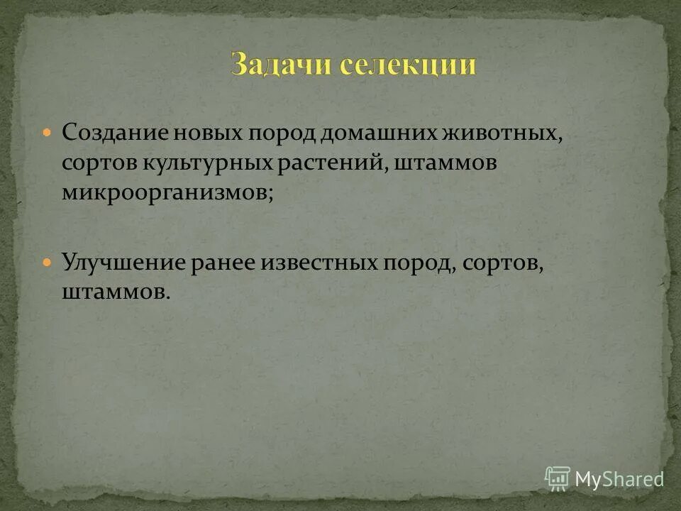 Тест селекция растений животных и микроорганизмов. Контрольная работа селекция. Основные направления селекции. Основные методы селекции растений животных и микроорганизмов. Содержание роли это.