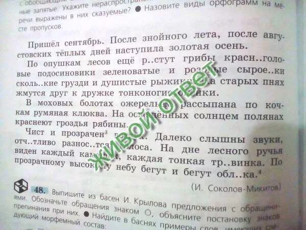Пришёл сентябрь после знойного. Пришел сентябрь после августовских теплых дней. Наступила золотая осень. По опушкам лесов еще растут грибы красноголовые. Пришел сентябрь после августовских теплых дней.