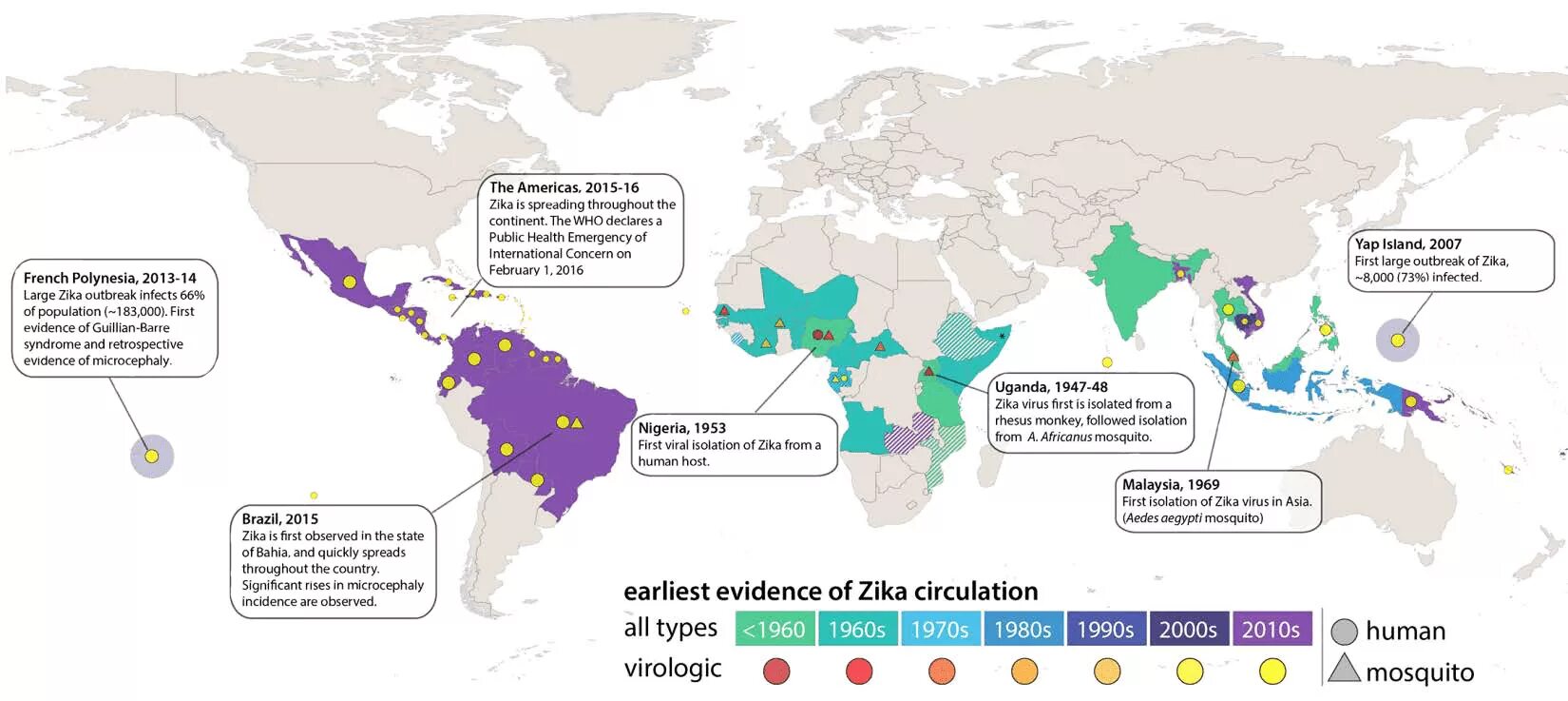 Вирус зика карта распространения. World atlas of epidemic diseases. Data and statistics on zika and pregnancy. Dominican republic–haiti border. Зика карта.