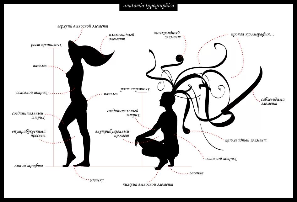 Типографика анатомия шрифта. Шрифтовая графическая композиция. Типографика основные термины. Строение шрифта. Типографика анатомия шрифта.