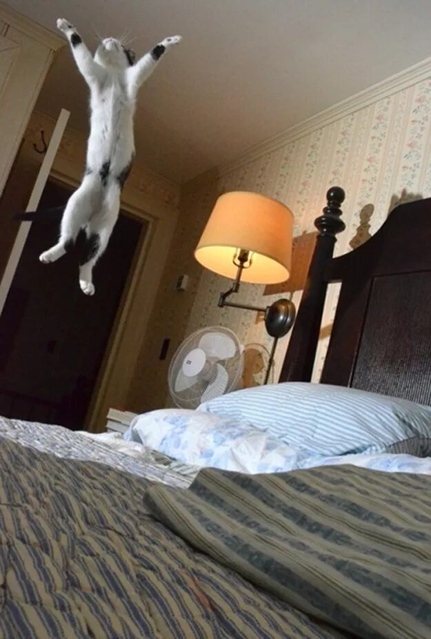 Ничего нету дома