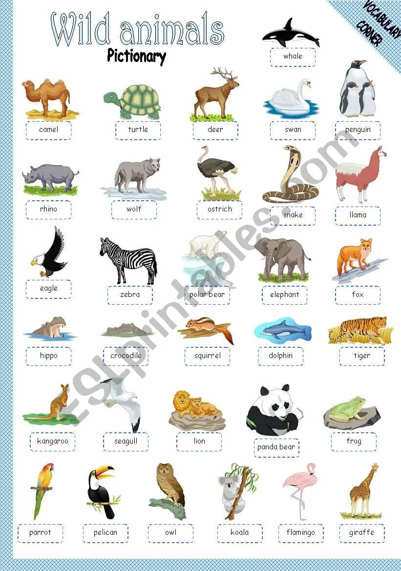 Wild animals ответы. Карточки животных на английском языке. Wild animals на английском. Animals vocabulary for kids. Домашние животные по английскому.