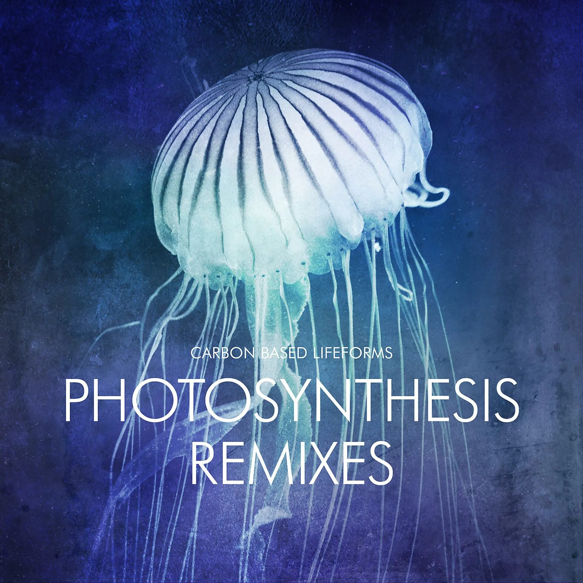 Carbon based. Обложка carbon based lifeforms. carbon based lifeforms альбомы. группа carbon based lifeforms.