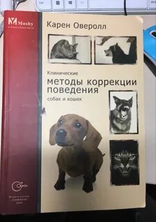 Методы коррекции поведения собак