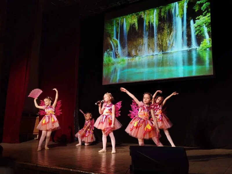 концертная программа звезды