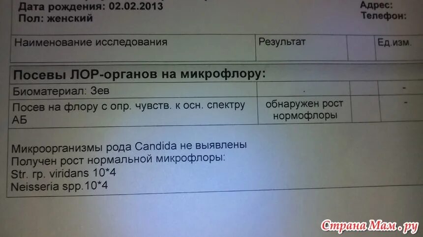 Посев лор органов. Посев ЛОР органов на микрофлору. Посев на флору обнаружен рост. Посев мазка из зева на микрофлору. Рост микрофлоры обнаружен.