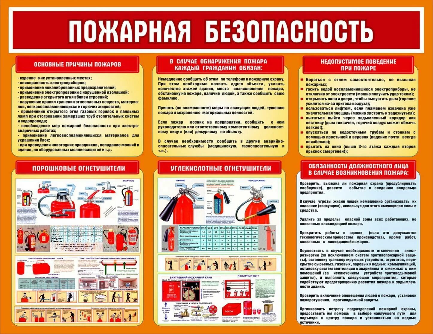 Ппб 2025