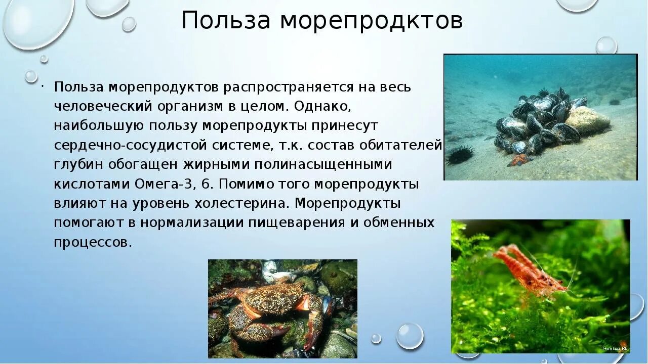 Морепродукты в питании человека сообщение. Польза морепродуктов. Польза морепродуктов для организма. Полезные морепродукты для человека. Польза море продуктов для организма.