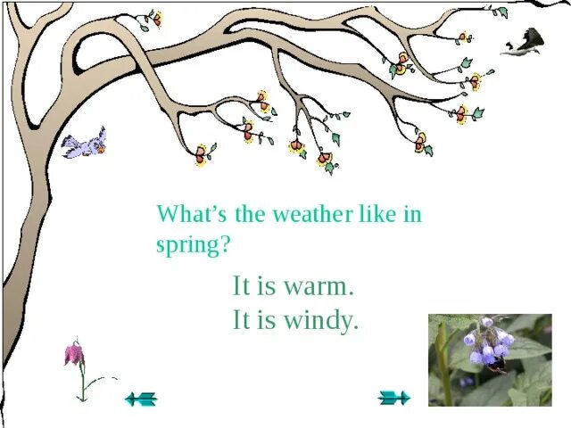 Why is the wind. Spring is warm. what the weather like in spring. in spring или in the spring. it is warm.