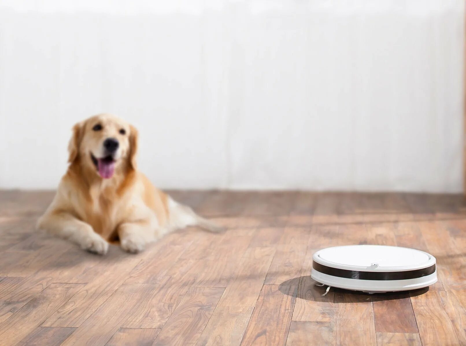 Ксиоми е10 робот пылесос. Робот-пылесос xiaomi xiaowa e202-00 robot vacuum cleaner lite. xiaomi xiaowa robot vacuum cleaner lite c102-00/102-02. e202-02 xiaomi робот пылесос. wall sweep.