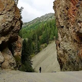 Красные ворота алтай