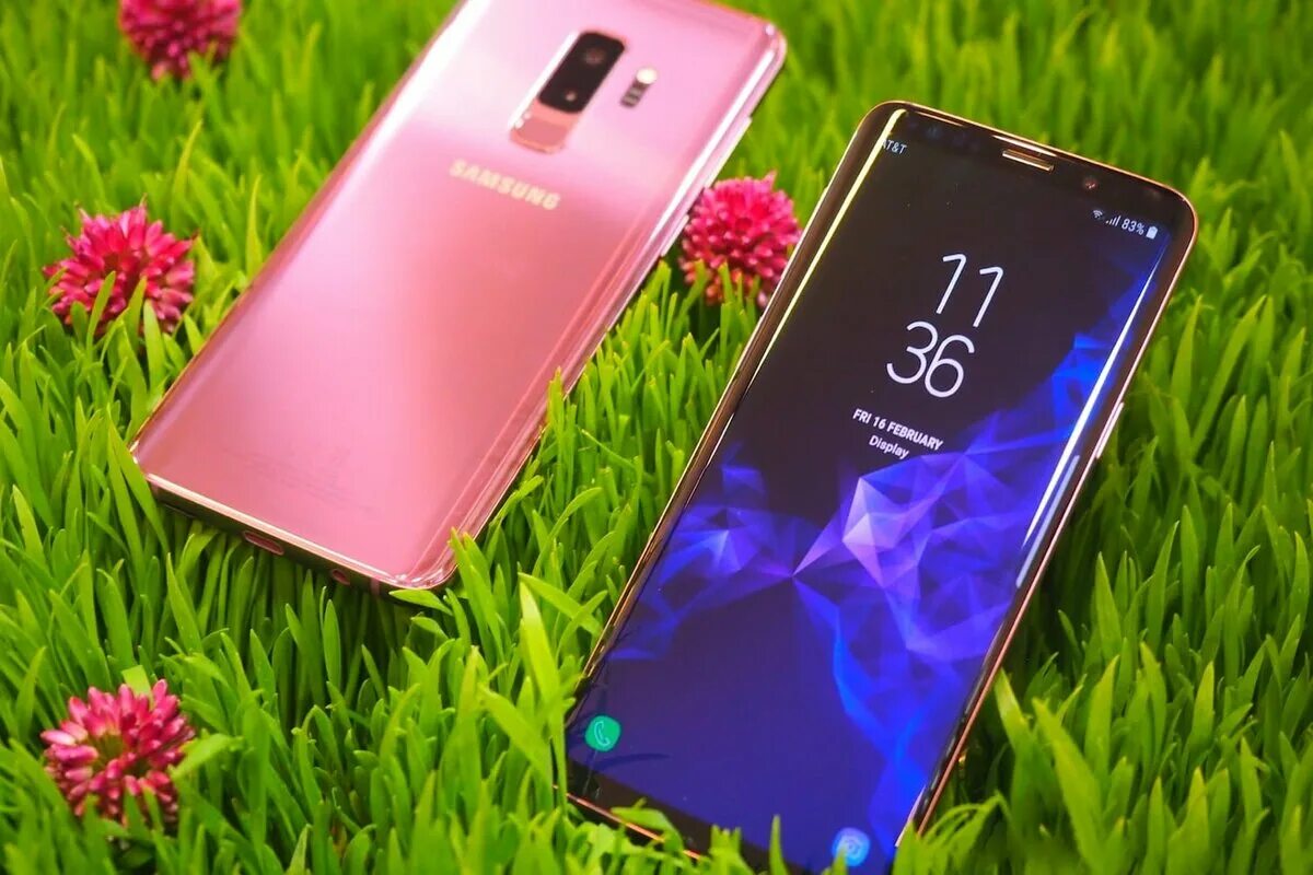 Лучший экран смартфона