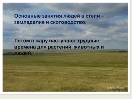 Зона степей охрана природы