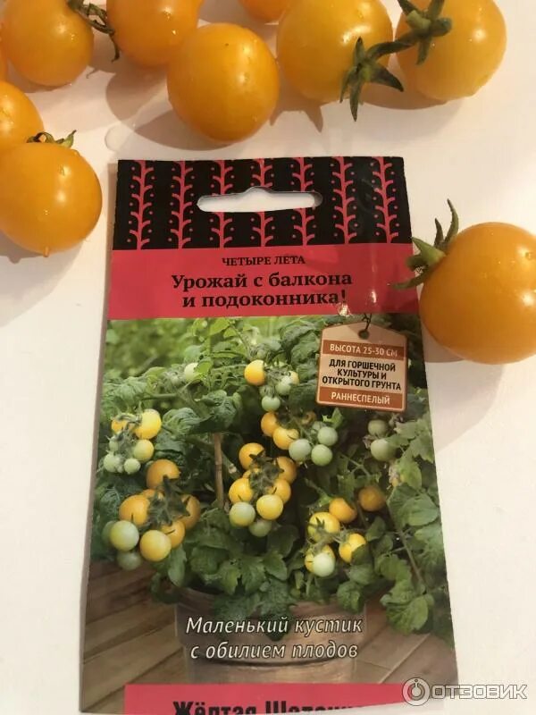 Помидор 4 лета. Семена томат желтая шапочка. Томат черри желтая шапочка. Помидоры четыре лета. Томат желтая шапочка четыре лета.