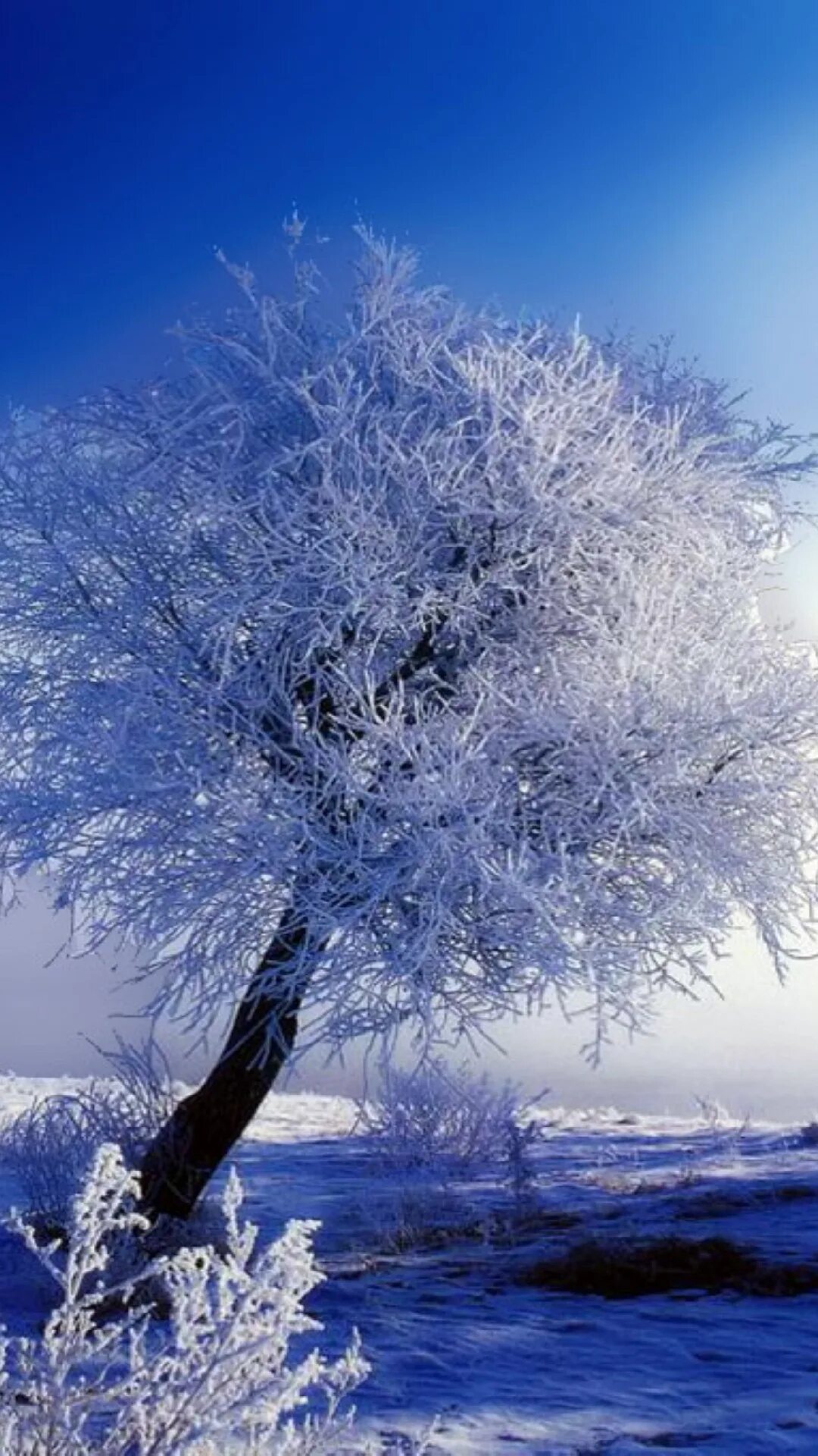 Snow good