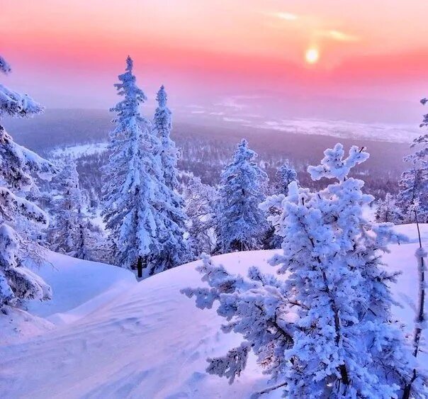Ведь это зима. Ведь это зима. Красивая цитата о красоте зимней природы. Зимний пейзаж. Зимнее счастье.