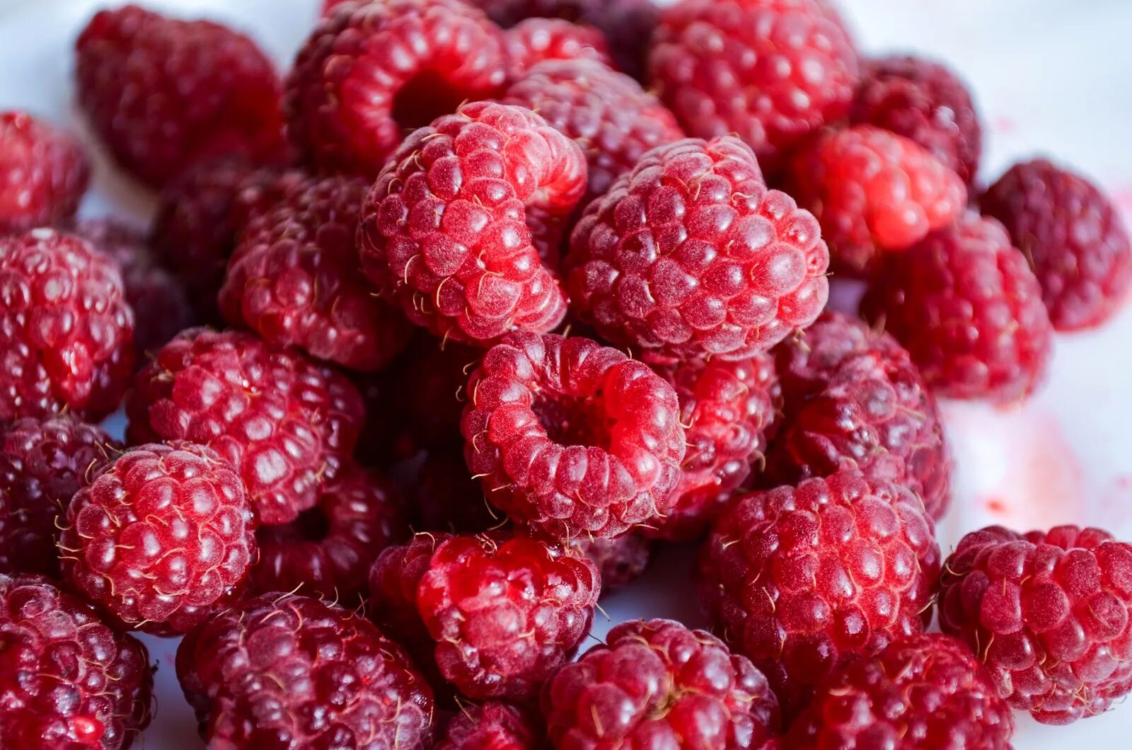 Малина сорт мармеладка. Малина кубани. Ботритис малины. Малина в ведерке. Брянская дива малина ремонтантная.