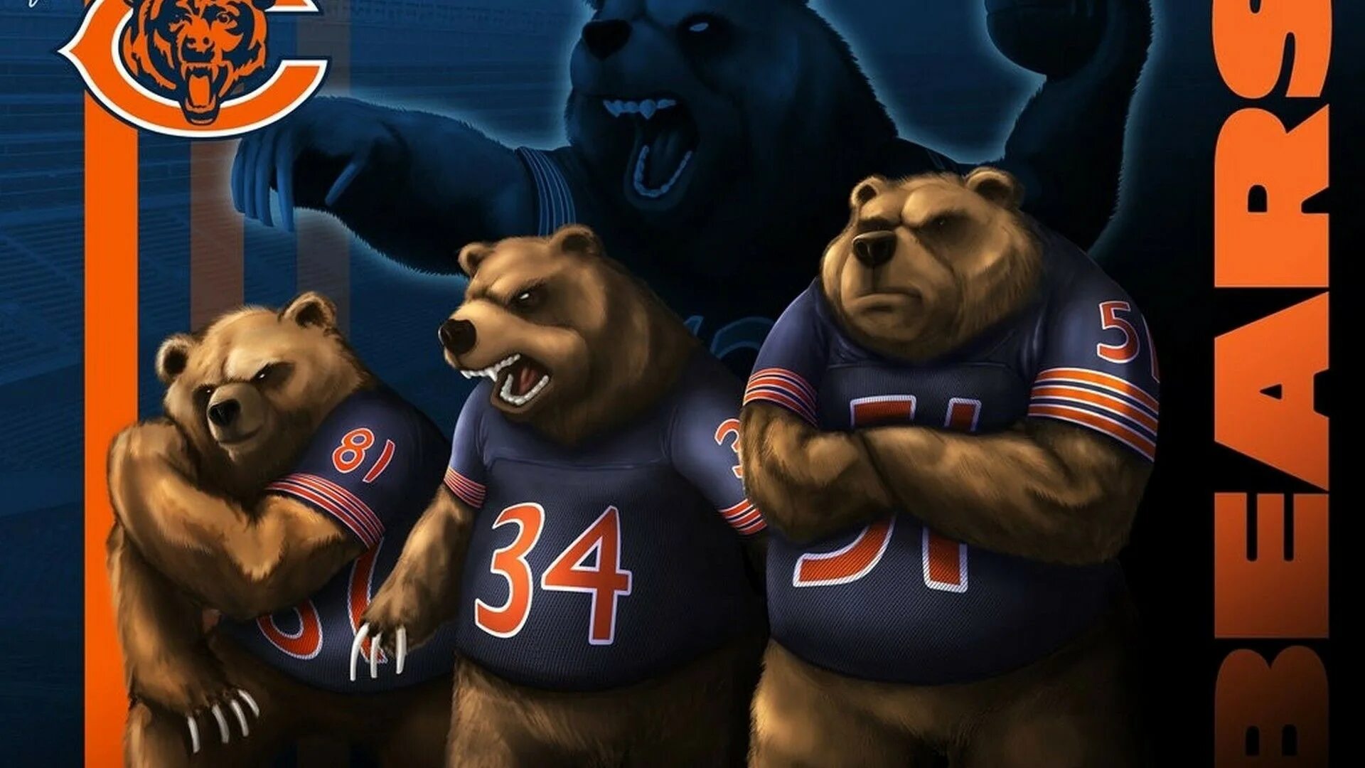 Bears 2 shop. Медведь спорт. Медведь спортсмен. Спортивный мишка. Спортивная команда медведи.