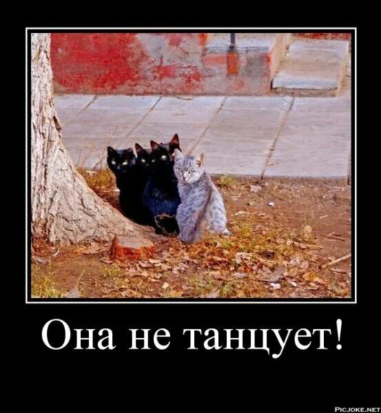 Кто девушку танцует тот её и гуляет. Кто женщину ужинает тот ее и танцует. Кто платит тот и заказывает музыку. Кто девушку тот ее и танцует. Кто девушку ужинает тот и танцует.