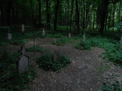 Лес эриний