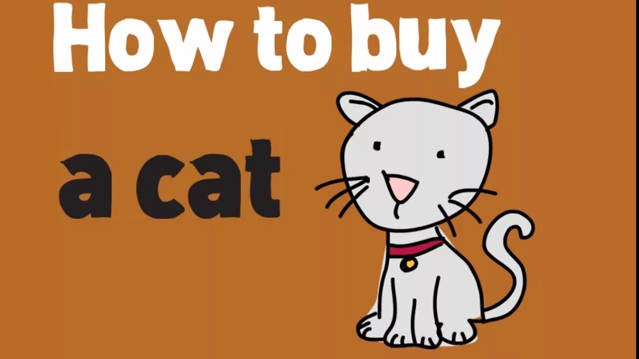 Once a cat. Buy Cat. Where is the Cat the Cat is. Do not buy a Cat. Where you can Pet a Cat.