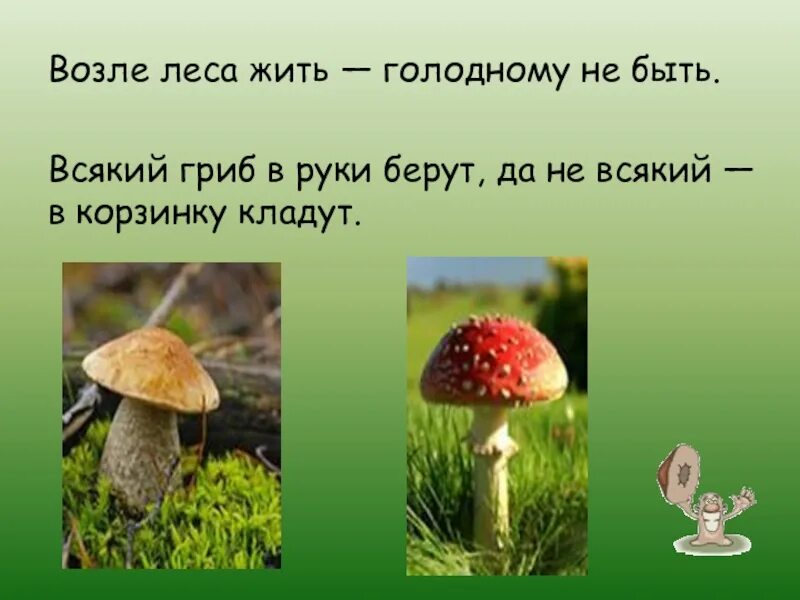 Слава жил возле леса и часто. Возле леса жить голодному не быть. Возле леса жить голодному не быть смысл. Объяснение пословицы рядом с лесом жить голодному не быть. Возле леса жить - голоду не видеть..