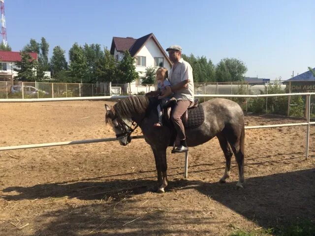 КСК Максима. Эмеральд конюшня. Максима конюшня. Эмеральд Стейблс конюшня.