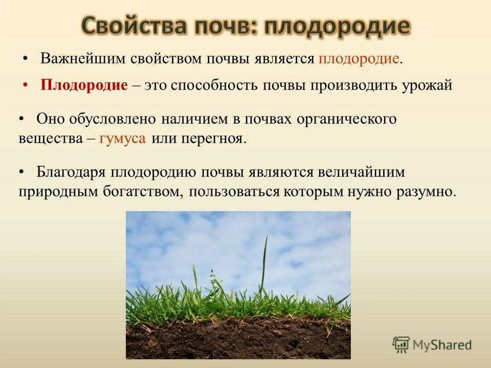 Перегной гумус образуется из. Плодородие почвы. Характеристика плодородной почвы. Естественное плодородие почвы. Чем определяется плодородие почвы.