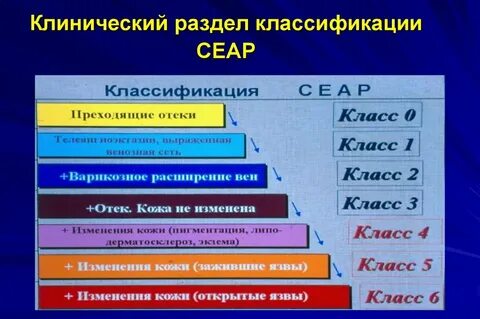 Сеар с1