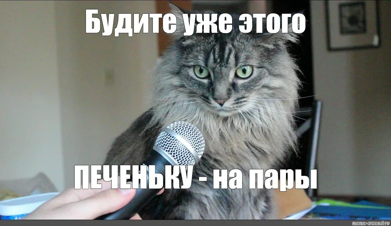 Включи через 3 минуты. Отпуск закончился. Отпуск закончился картинки. Отпуск закончился картинки прикольные. На работу после отпуска.