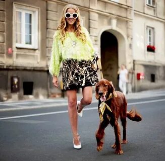 Dog мода