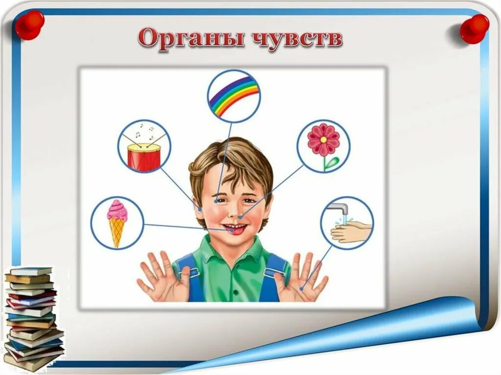 Опыты органы чувств. Органы чувств. Картинки органов чувств человека для детей. Органы чувств для дошкольников. Рисунок на тему органы чувств.