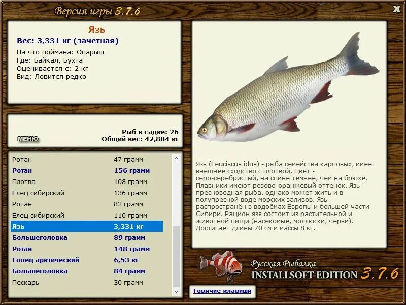 русская рыбалка горбуша. 6 деревенские просторы. где ловить зачетного. рыба семейства карповых в азовском море. где ловить зачетного.