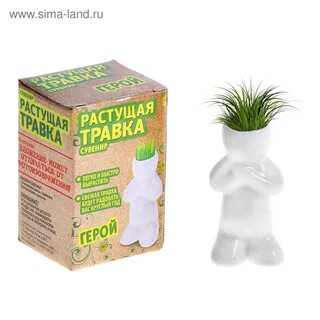 Сколько выросло травы