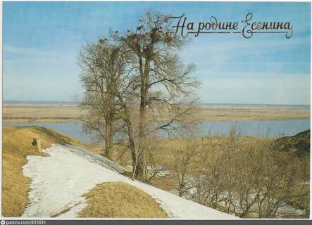 Берег родины