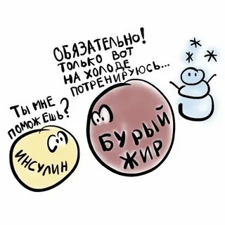 Бурый жир