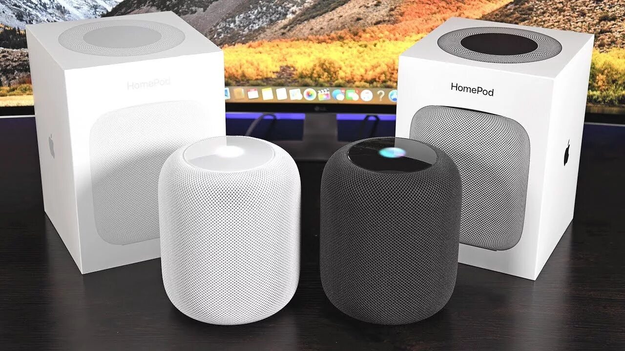 Apple колонка homepod mini. Колонка Apple HOMEPOD. Умная колонка Apple HOMEPOD Mini. Apple HOMEPOD динамик. Колонка Apple HOMEPOD 2.