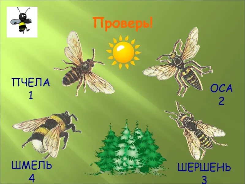 Осе 2