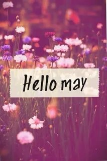 Hello may