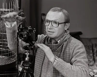 Жизнь андрея мягкова