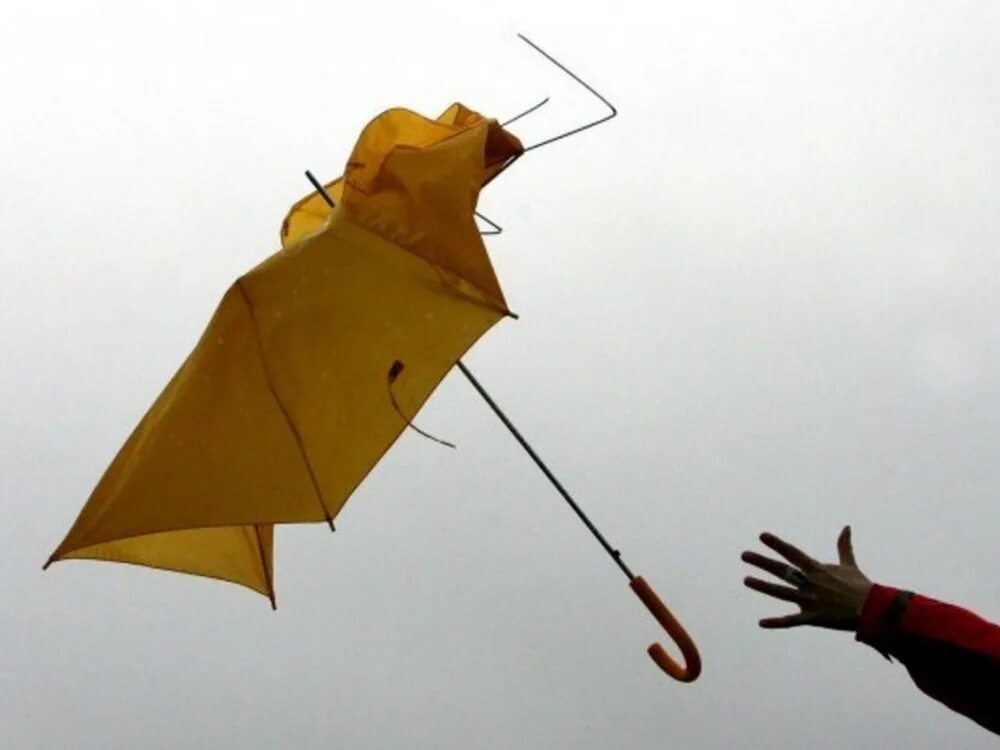 Ветер вырывает из рук. Девушка и сильный ветер. Сильный ветер. Ветер вырывает из рук. Дождь и ветер.