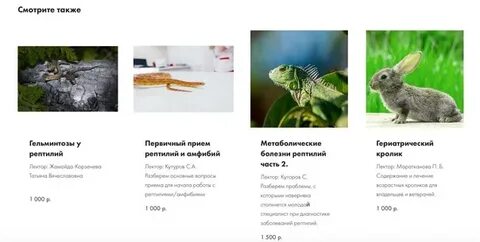 Webexovet корм для грызунов