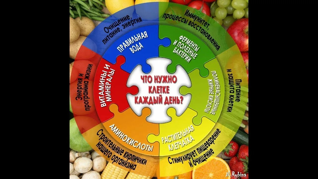 Правильное клеточное питание. Что такое клеточное питание организма. Что такое клетчатое питание. Питание для клеток в капсулах. Участвует в питании клеток
